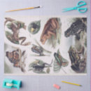 Search for frog tissue paper Decoupage
