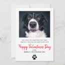 Search for dog valentines day cards From the dog