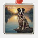 Search for dalmatian ornaments Pet