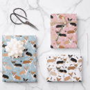 Search for corgi wrapping paper Pembroke welsh corgi