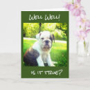 Search for 18th boy birthday cards Eighteen