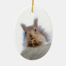 Search for funny squirrel ornaments Wildlife