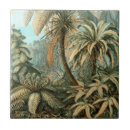 Search for fern tiles Botany