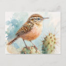 Search for cactus postcards Wren