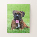 Search for boxer dog puzzles Portrait