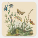 Search for caterpillar stickers Insects