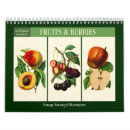 Search for fruit calendars Berries