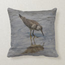 Search for sandpiper pillows Nature