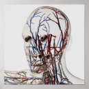 Search for transparent posters Three dimensional