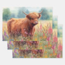 Search for highland cow wrapping paper Watercolor