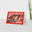 Search for dachshund valentines day cards Dogs
