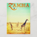Search for south africa vintage postcards Giraffe