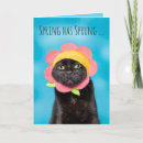 Search for funny cat easter cards Animal