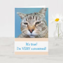 Search for funny cat get well cards Feel better