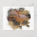 Search for hippo postcards Wildlife
