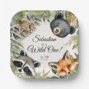 Search for raccoon plates Forest
