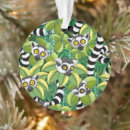 Search for lemur ornaments Wildlife