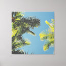 Search for palm canvas prints summer