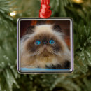 Search for himalayan cat ornaments Pet