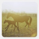 Search for for kentucky derby stickers Nature