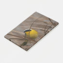 Search for bird post it notes Animals