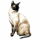 Search for pet photo statuettes Feline