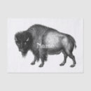 Search for native american tissue paper Buffalo