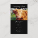 Search for highland cow business cards Scotland