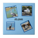 Search for pelican tiles Wildlife