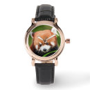 Search for red panda watches Pandas