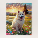 Search for samoyed puzzles Pets