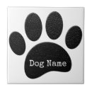 Search for paw print tiles Cartoon