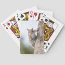 Search for squirrel playing cards Cute