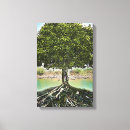 Search for tree roots canvas prints Green