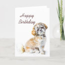 Search for beautiful birthday cards Dog