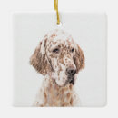 Search for english setter gifts Puppy