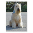 Search for wheaten terrier Animals