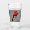 Search for red bird gifts Birdwatcher