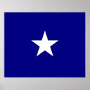 Search for texas flag posters United states
