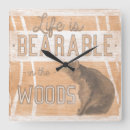 Search for bear clocks Camp