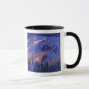Search for usa mugs environment
