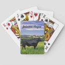 Search for cow playing cards Beef cattle