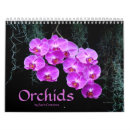 Search for orchid calendars flowers
