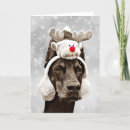 Search for doberman christmas cards Winter