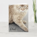 Search for cat fathers day cards Kitty