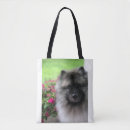 Search for keeshond gifts Dog breeds