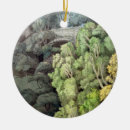 Search for pen ornaments 18th