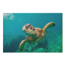 Search for coral reef art Nautical