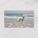Search for dog breeder business cards Dogs