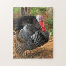 Search for thanksgiving puzzles Turkey